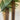 Nish Hair  –  Faux Highlights  –  Set of 2